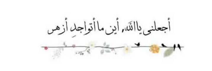 norah_fz's profile banner image