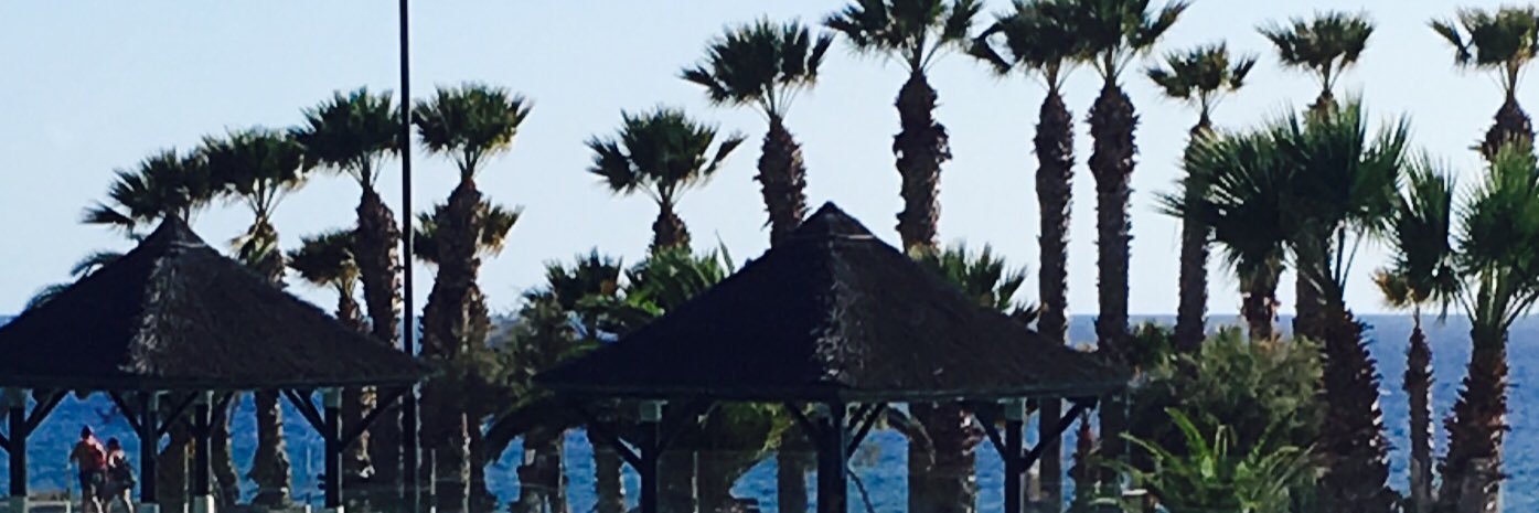 Lindathomson12's profile banner image