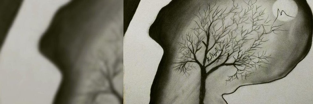 Silently123's profile banner image