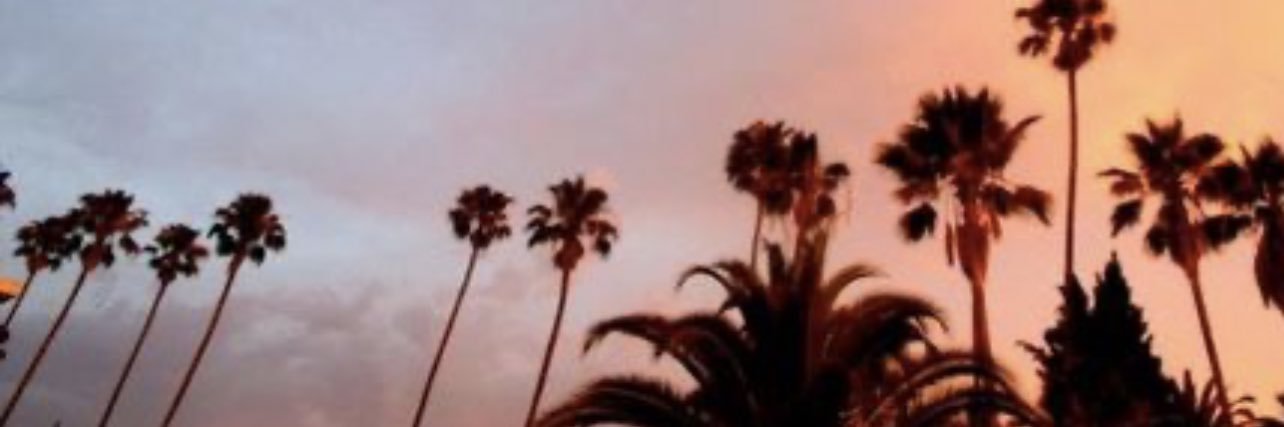 trappRasta's profile banner image
