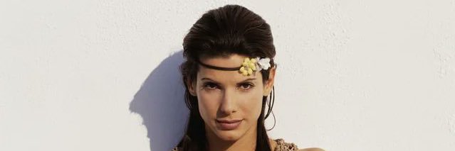 Sandra Bullock banner