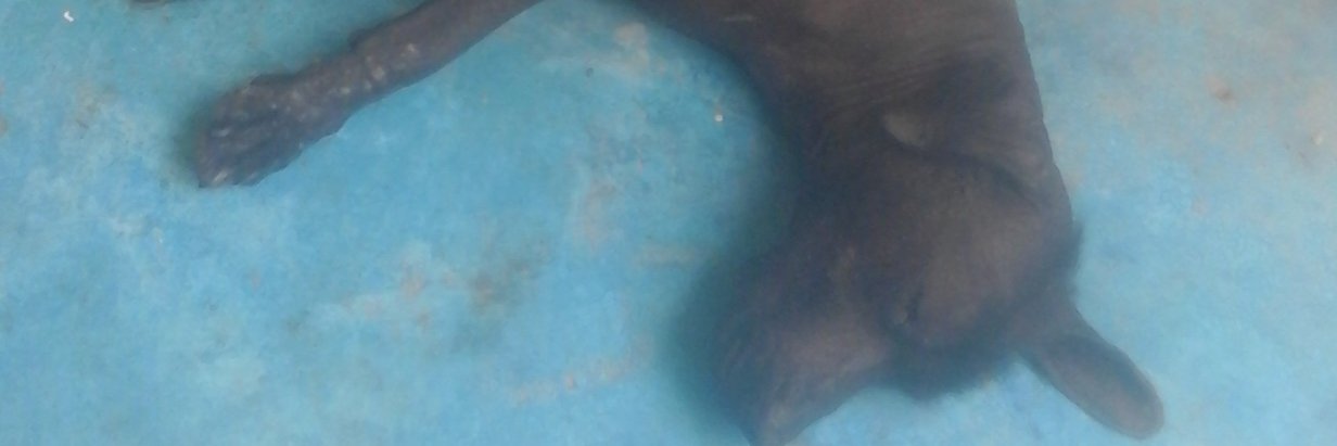 drewsa's profile banner image