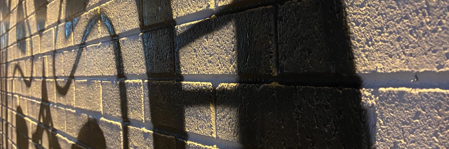 avicral's profile banner image