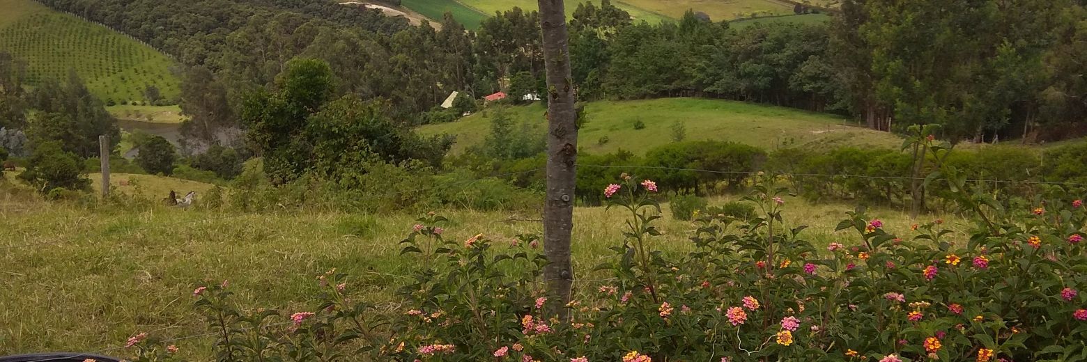 cforero650's profile banner image