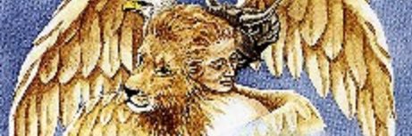 lexstwiitter's profile banner image