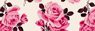 Tania_B_C's profile banner image