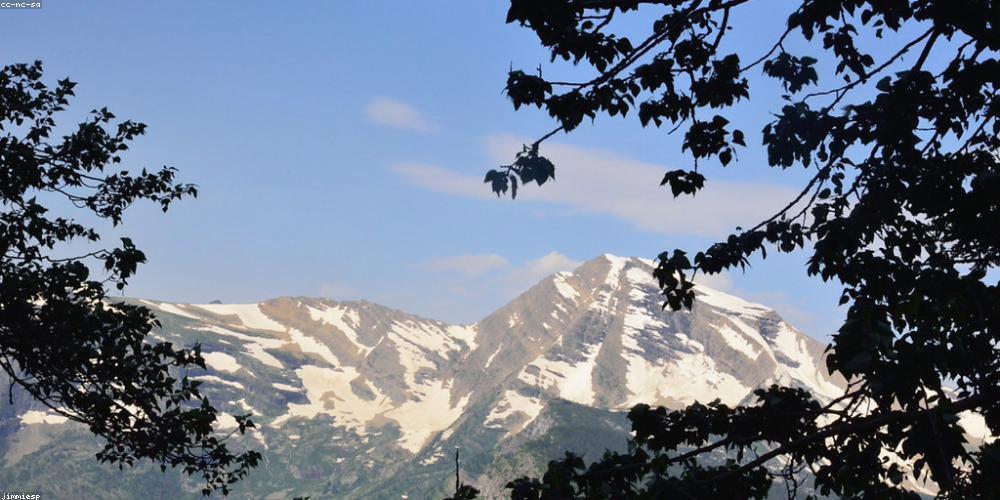 tdcovey's profile banner image
