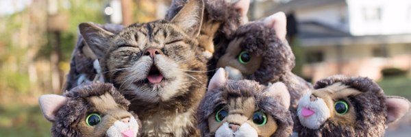 IAMLILBUB Profile Banner
