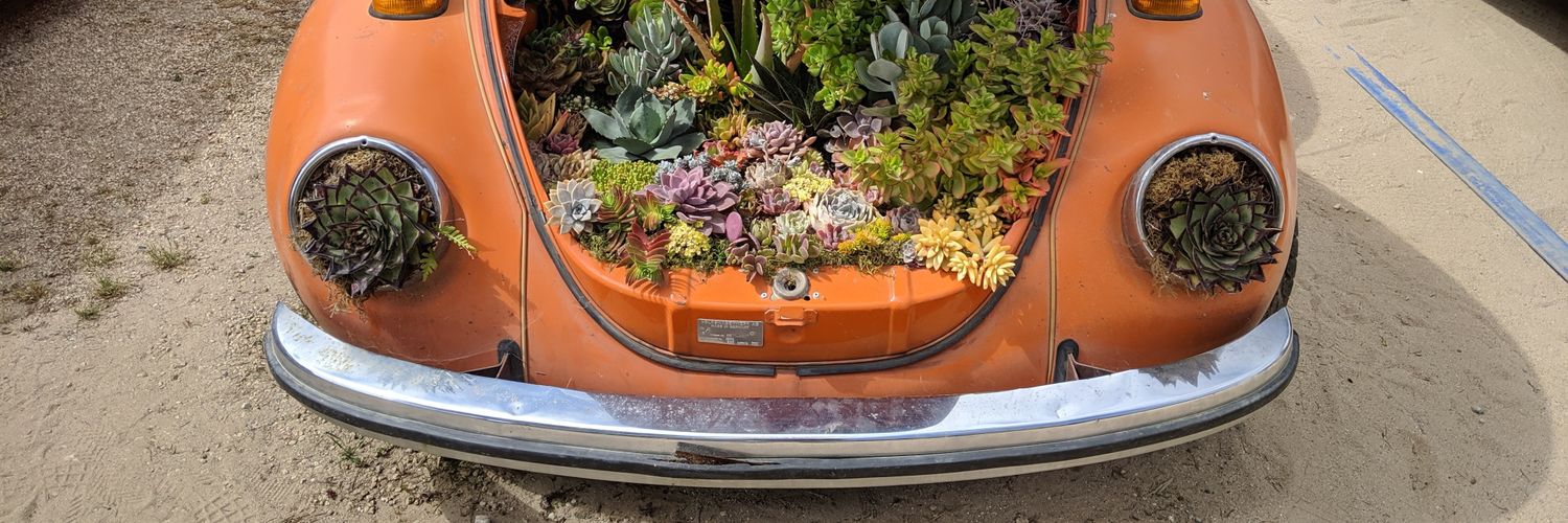 Daniel Fernandes banner