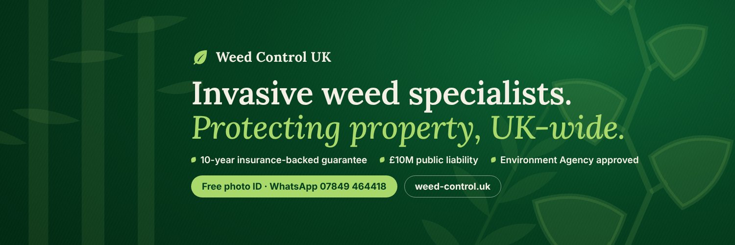 Lighting_Group's profile banner image