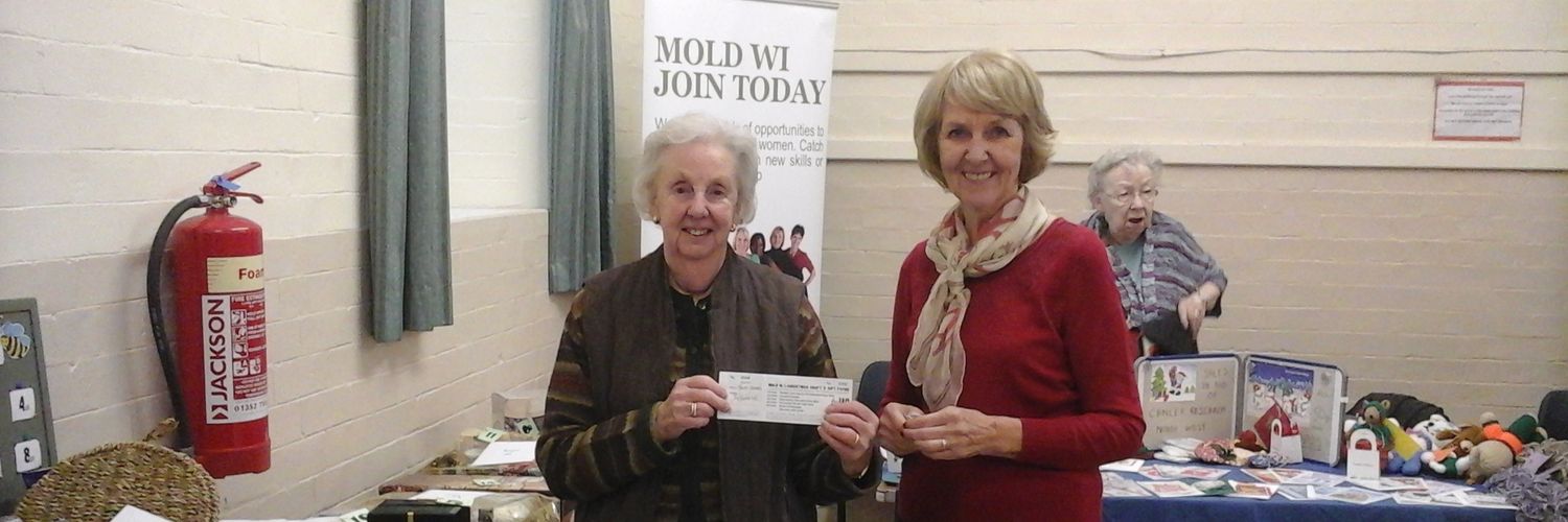 Mold WI banner