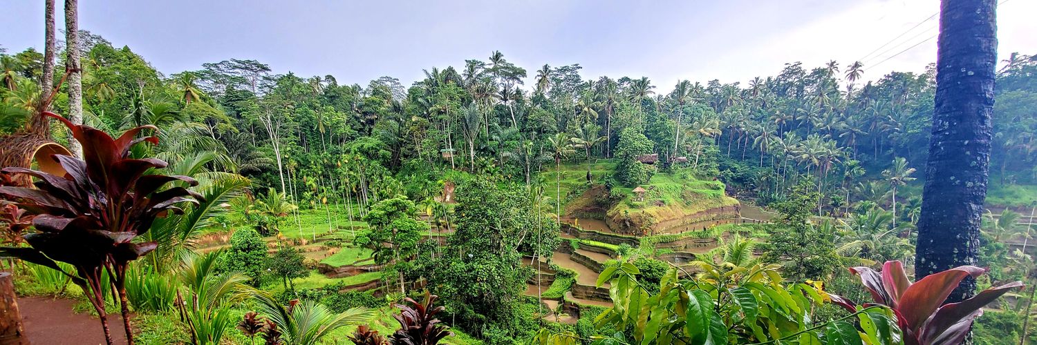 Cassandra the Anti-Nihilist banner