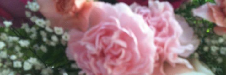 BeatrizC415's profile banner image