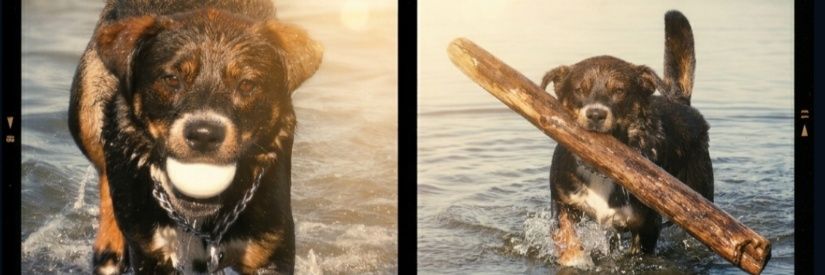 ClemenSamuels's profile banner image