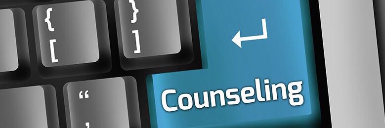 School Counselor banner