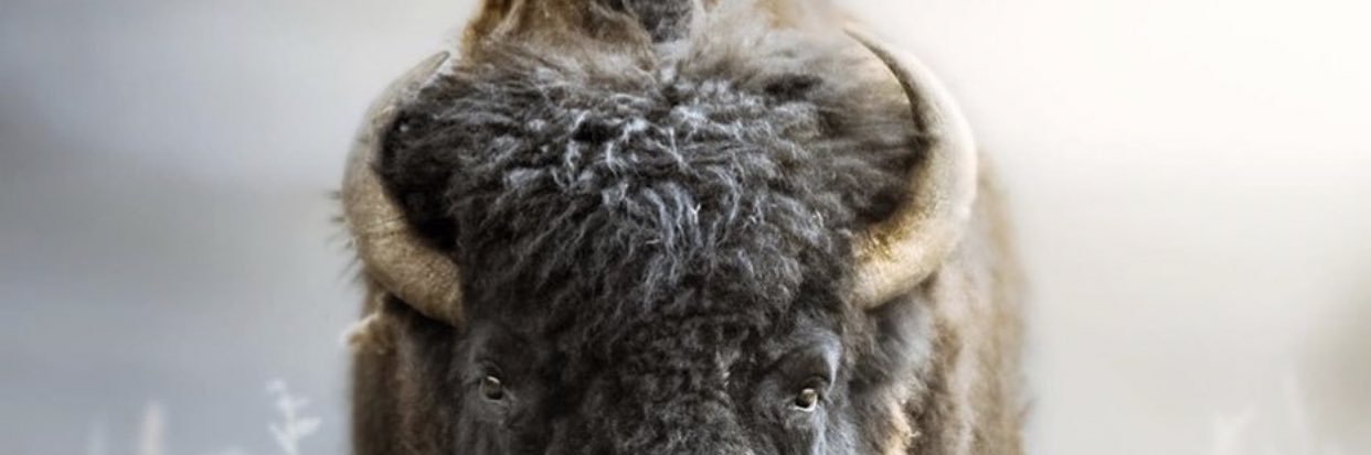 OriginalJody's profile banner image