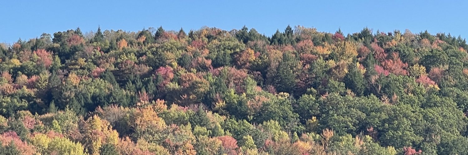 The Queen’s Heart 🍱 ×͜× 💙💚🪩💪🏻🇺🇸♥️ banner