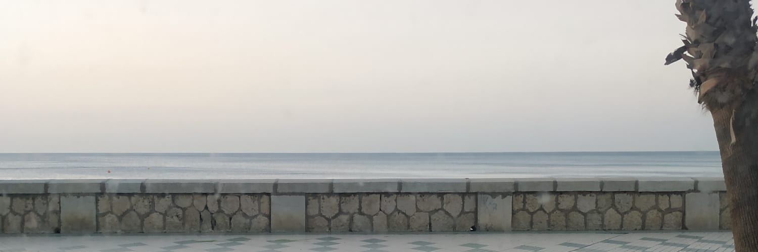 MariaVenuss's profile banner image