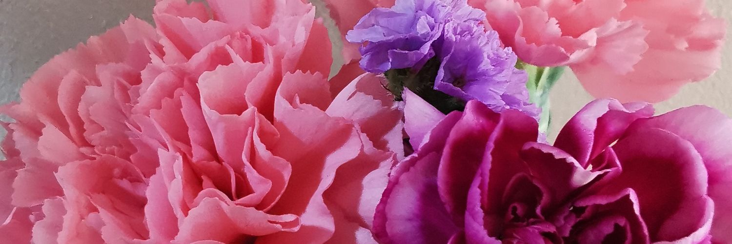 yuki323's profile banner image