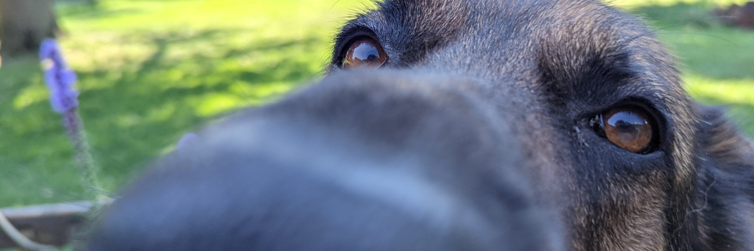 🏴‍☠️ Fred Miller 🦀 banner