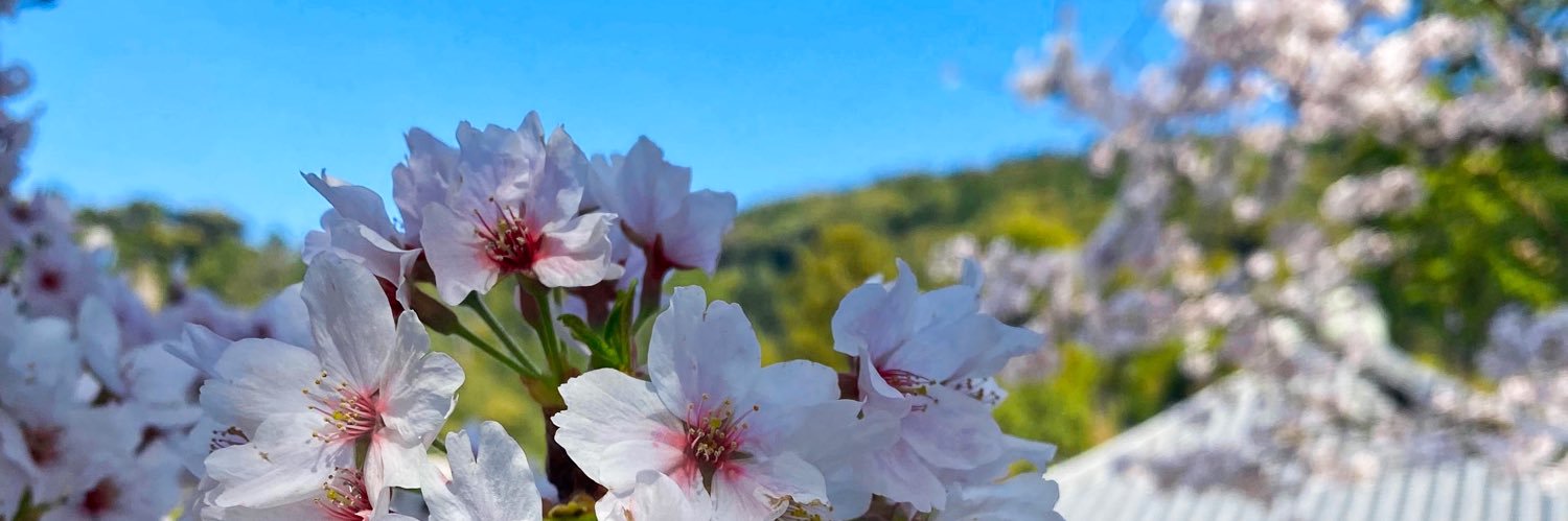 Ambre_Pierce's profile banner image