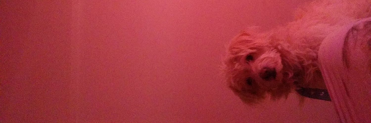 ccamla_'s profile banner image