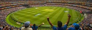 LeftyCricketer banner