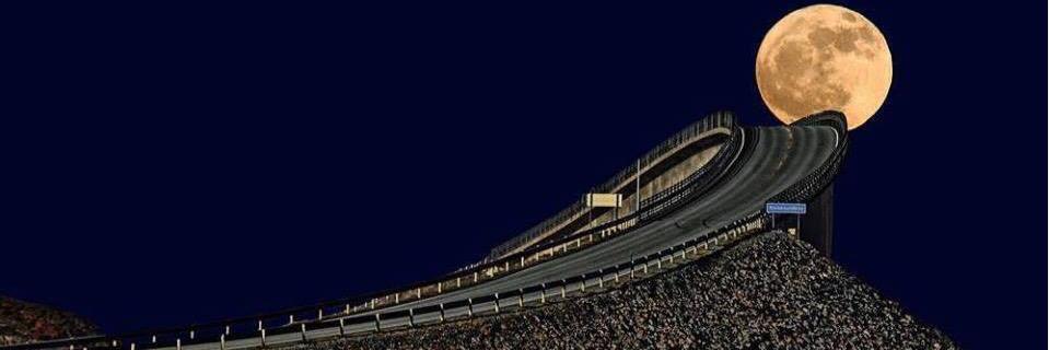meircurry's profile banner image