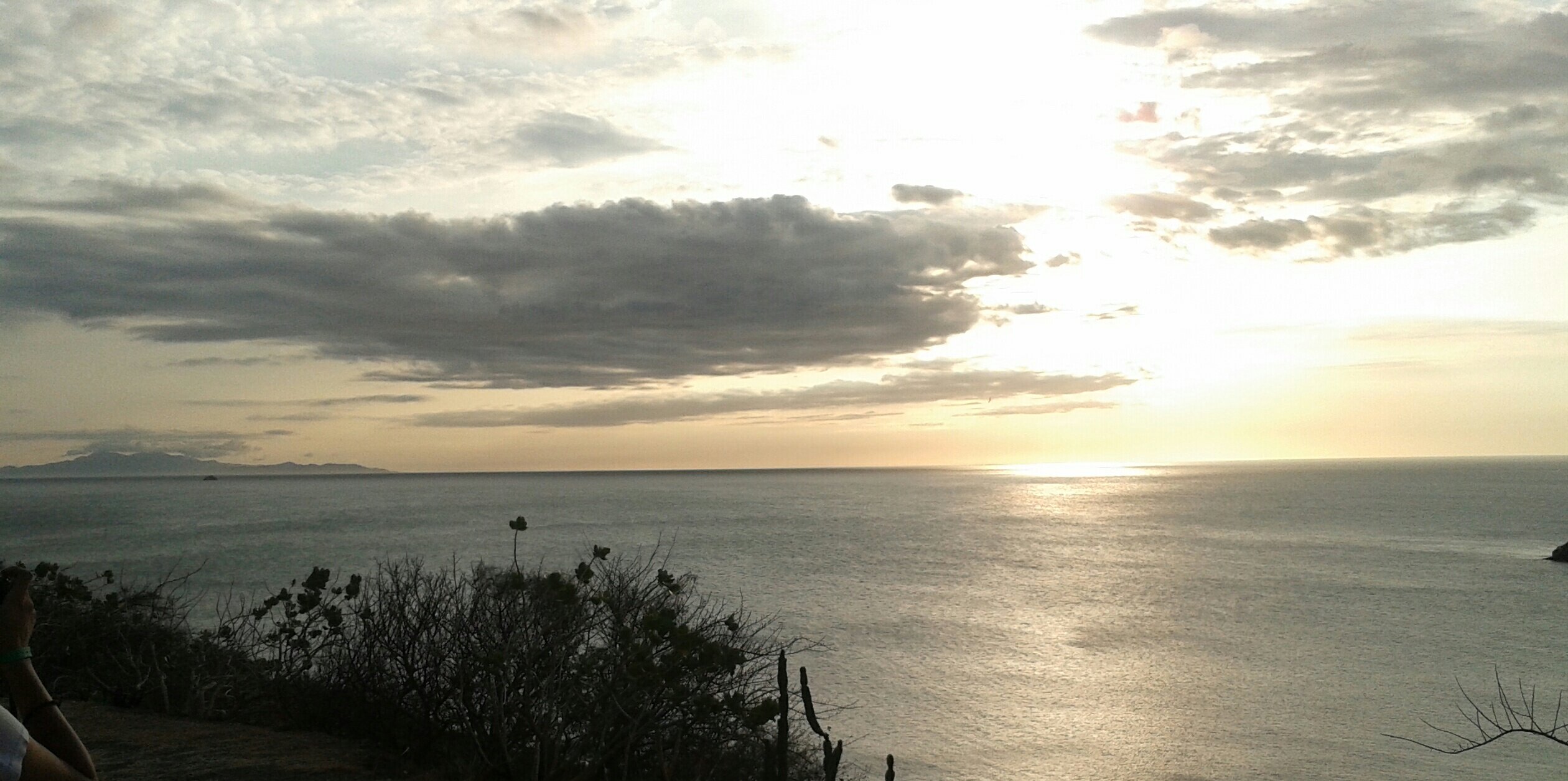 daxyespino's profile banner image