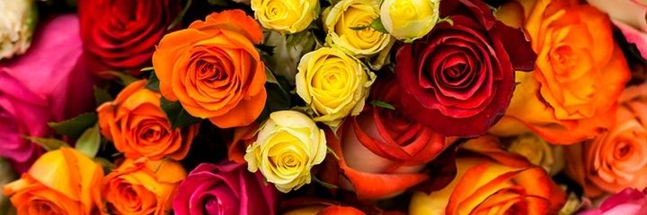 hbomarce's profile banner image