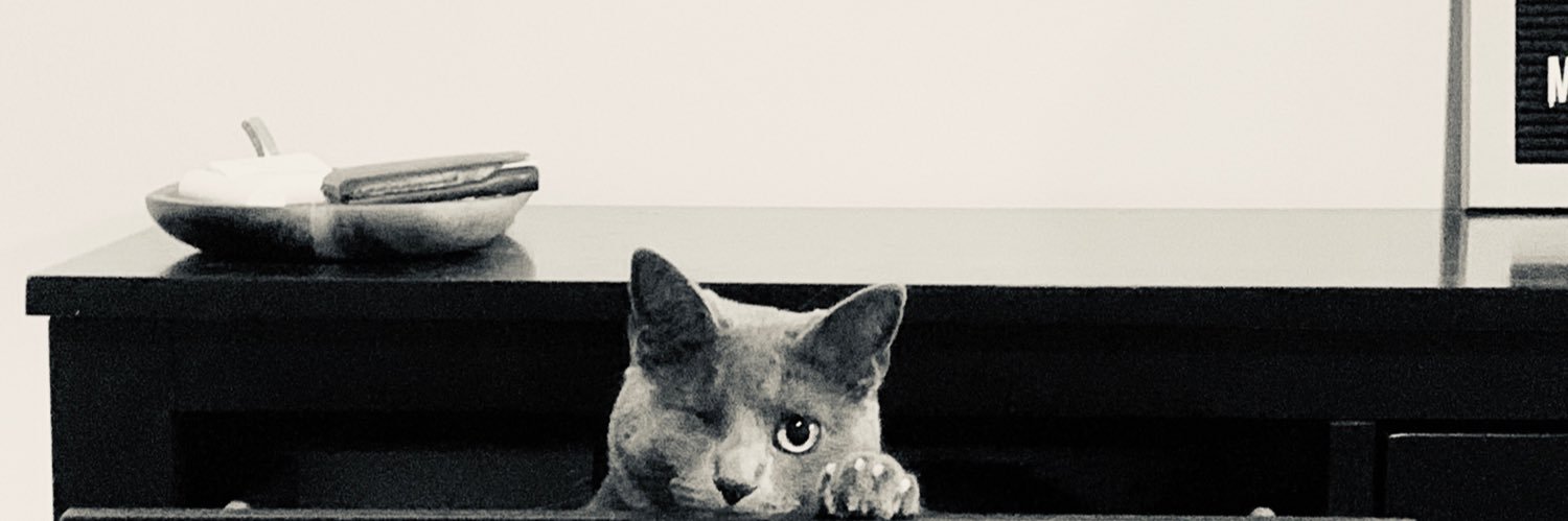 andrearakkaus's profile banner image