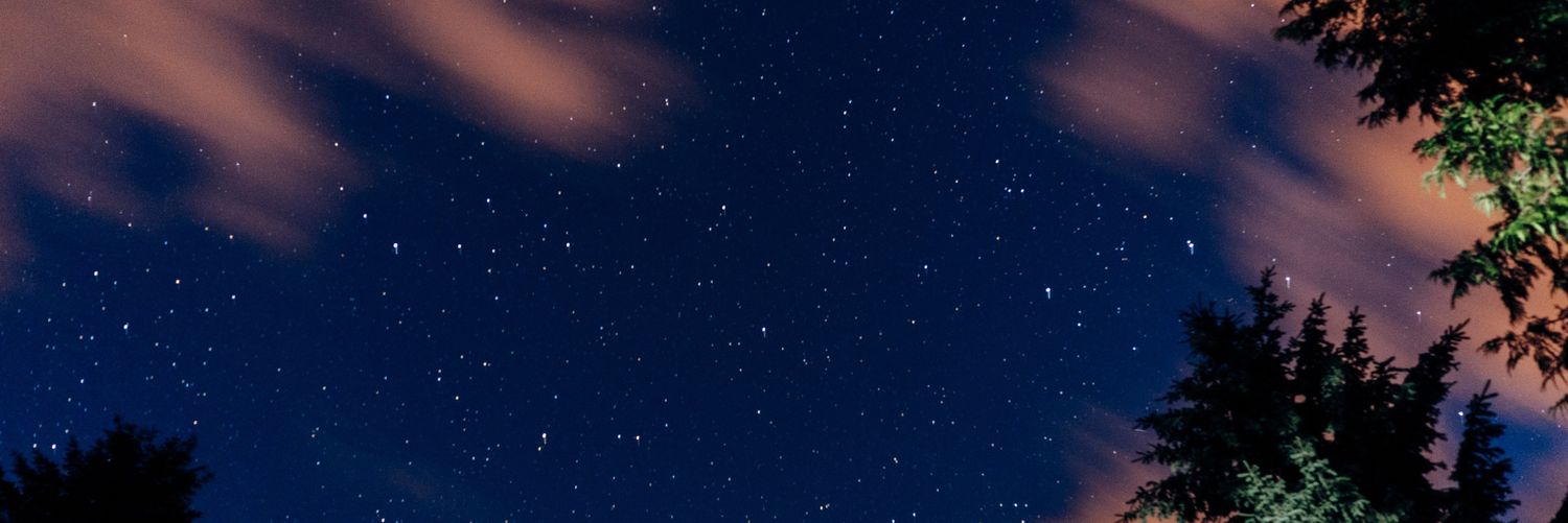 angiealy's profile banner image