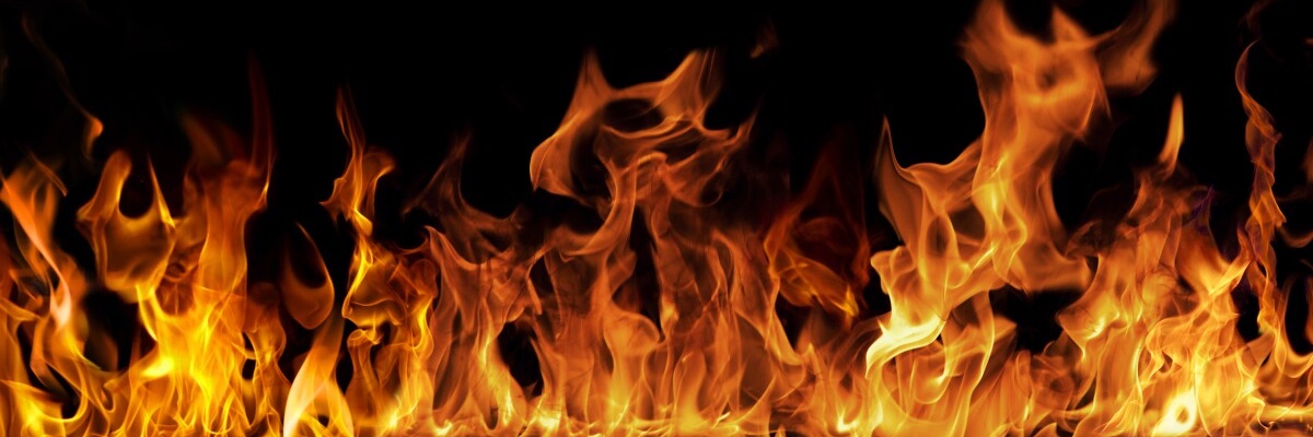 OSCARBATE 😘 banner