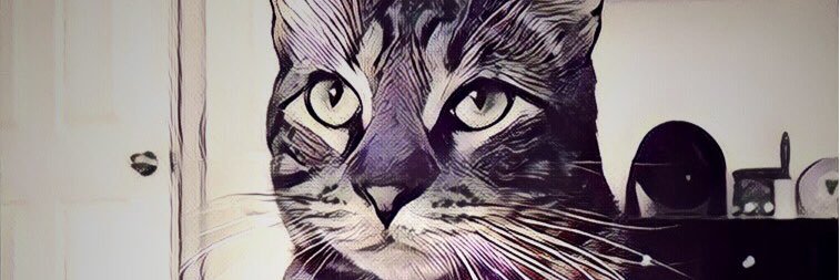 brookelicious's profile banner image
