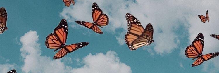 SOFI banner