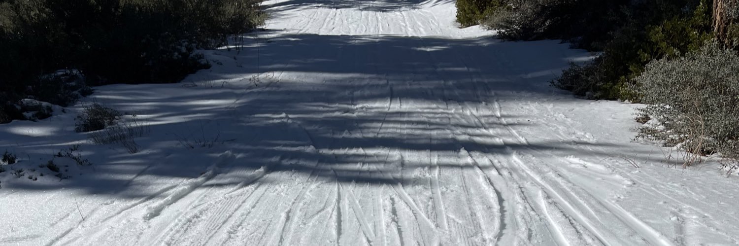 Jess Barrington-Trimis banner