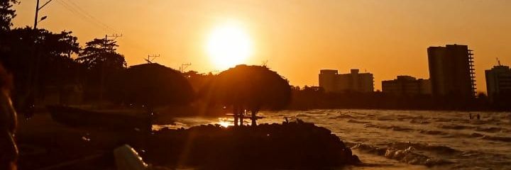 ginalohe's profile banner image