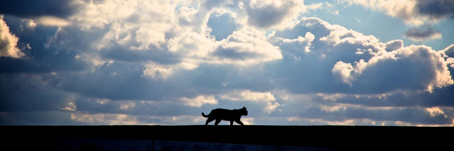 mickeysmith_go's profile banner image