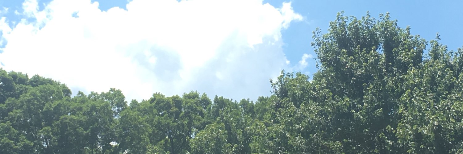 gina_egg's profile banner image