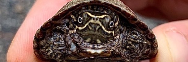 TaylorEMurphy's profile banner image