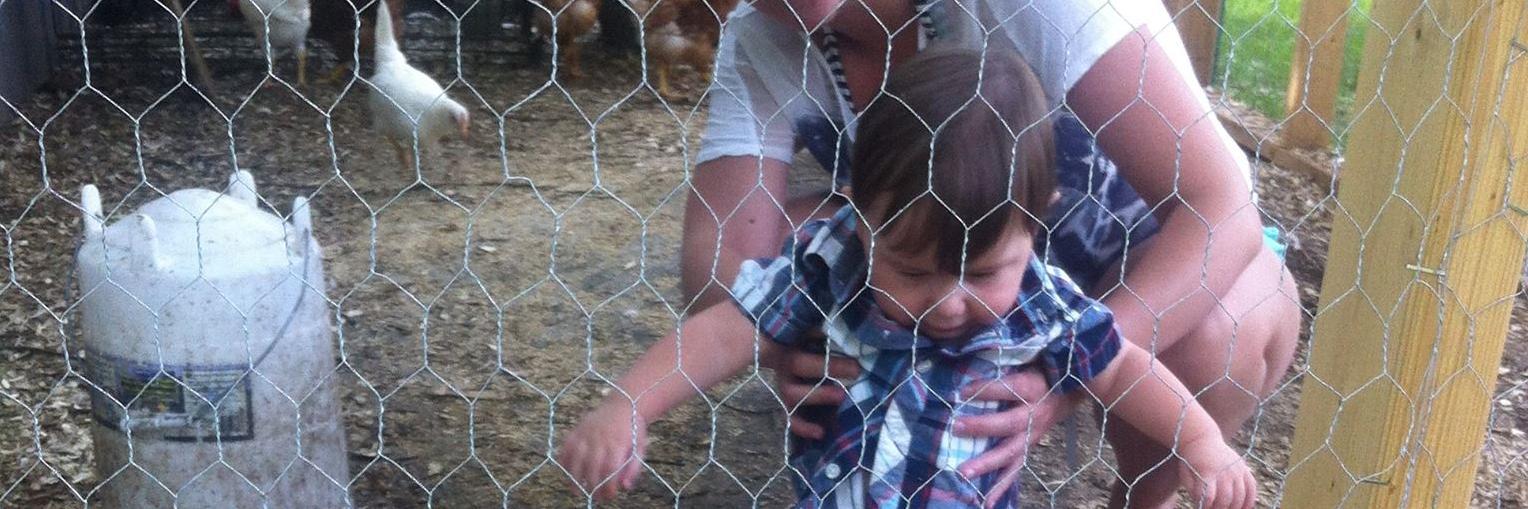 allan robertson banner