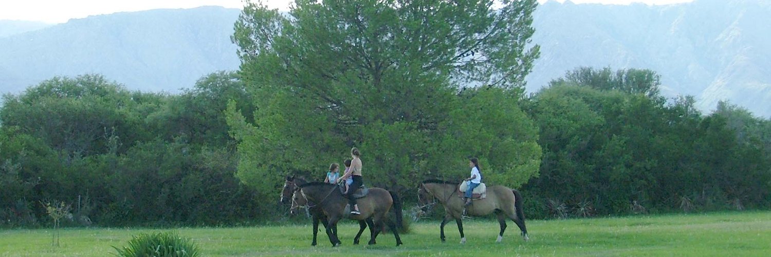 Sergio SuarezM banner