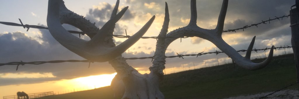 IPBazley's profile banner image