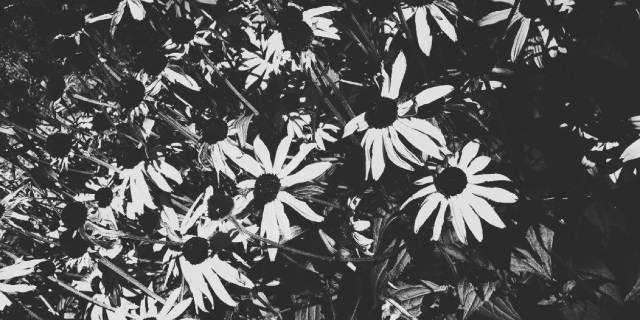 mackenzie_lurch's profile banner image