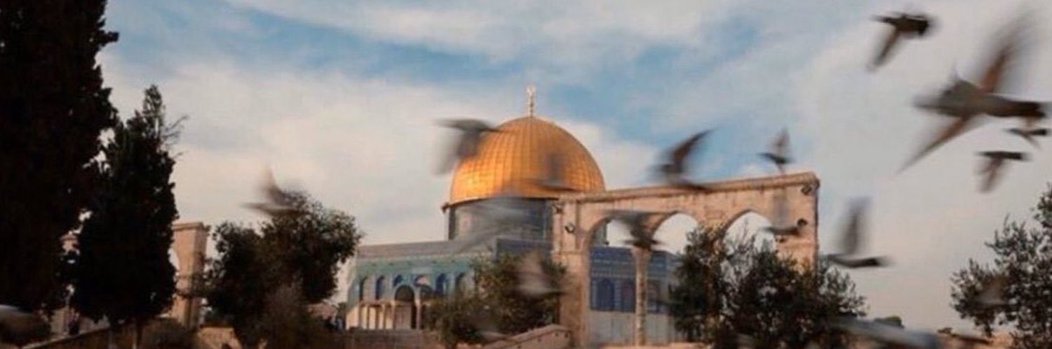 rasha_esm's profile banner image