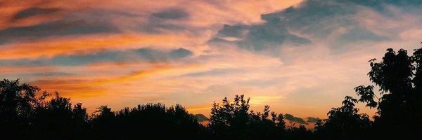 onceuponachai Profile Banner