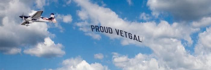 Proud VETGAL☘️🇺🇸 banner