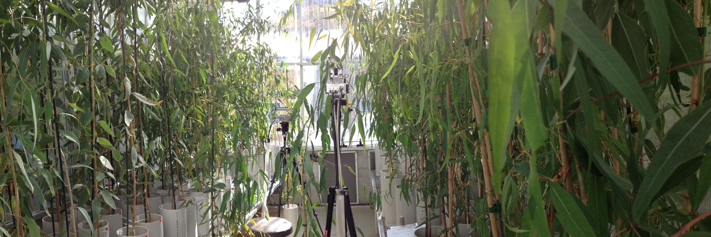 Matthew Brookhouse banner