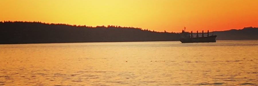 JefeNavidad's profile banner image