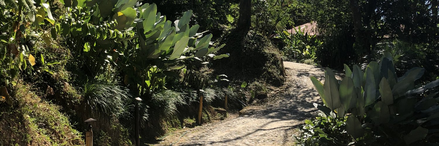 rocío jiménez banner